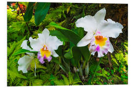 PVC print Orchids in the botanical garden