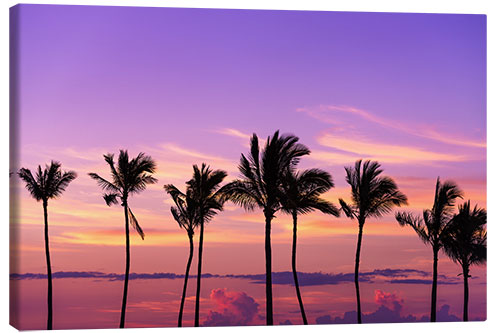 Lerretsbilde Sunset in Anaeho'omalu Bay II