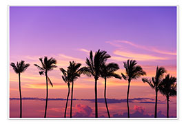 Wandbild  Sonnenuntergang in der Anaeho&#039;omalu Bay II - Russ Bishop