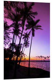 Foam board print Sunset in Anaeho'omalu Bay III