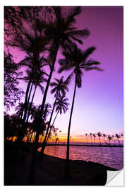 Wall sticker Sunset in Anaeho'omalu Bay III