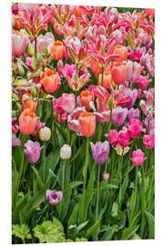 Foam board print Tulips II