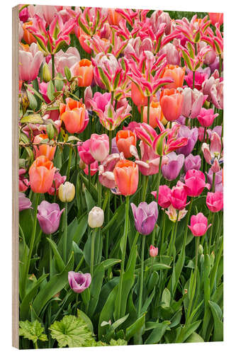 Wood print Tulips II