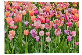 Foam board print Tulips III