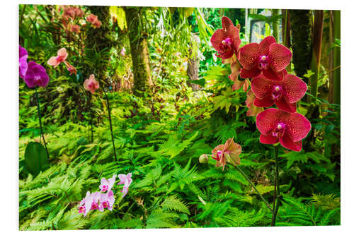 Foam board print Orchids in the garden