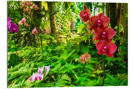 Gallery print Orchids in the garden