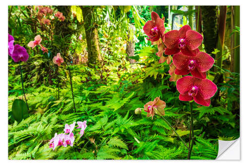 Selvklæbende plakat Orchids in the garden