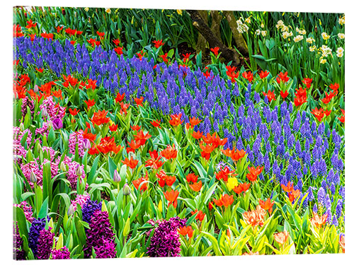 Obraz na szkle akrylowym Garden in bloom