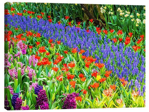 Canvas print Garden in bloom