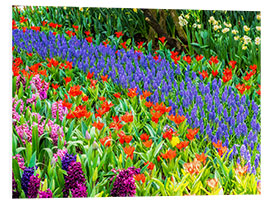 Foam board print Garden in bloom