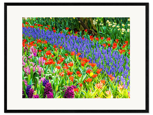 Framed art print Garden in bloom