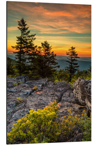 Aluminium print Landscape at sunset