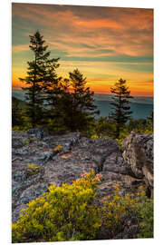 Foam board print Landscape at sunset