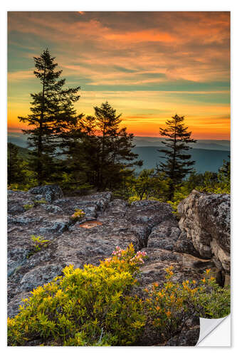 Selvklebende plakat Landscape at sunset