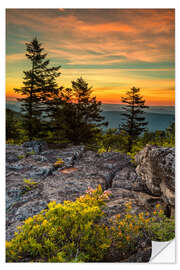 Selvklebende plakat Landscape at sunset