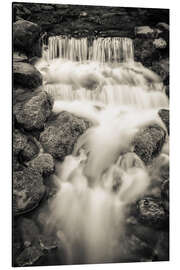 Tableau en aluminium Fern Spring dans le parc national de Yosemite