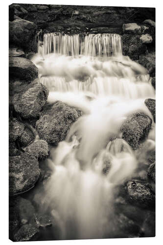 Canvastavla Fern Spring in Yosemite National Park