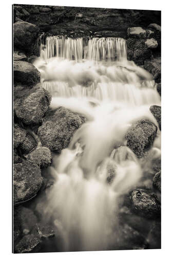 Gallery print Fern Spring in Yosemite National Park