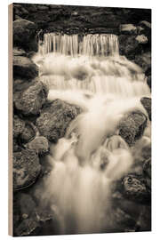 Holzbild Fern Spring im Yosemite Nationalpark