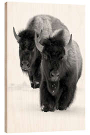 Wood print Bison hiking in deep snow