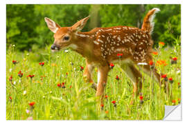 Naklejka na ścianę Fawn I