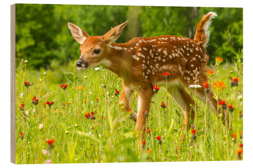 Wood print Fawn I