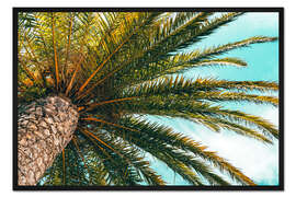 Gerahmter Kunstdruck Grüne Palmenblätter vor einem blauem Himmel