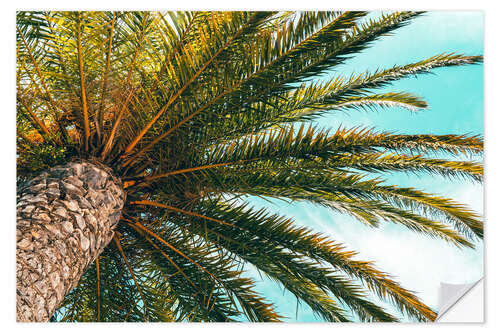 Selvklebende plakat Green palm leaves in front of a blue sky