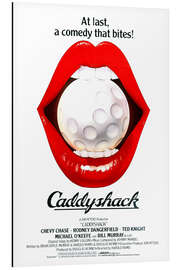 Magnettafel Wahnsinn ohne Handicap (englisch)