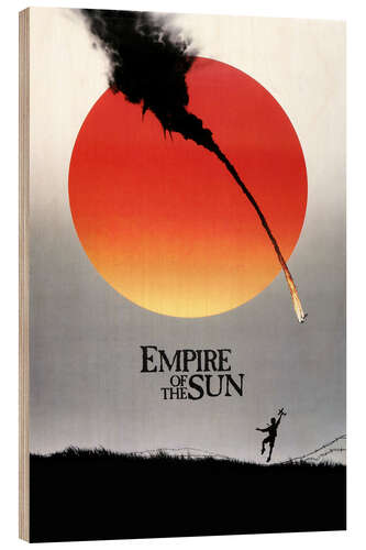 Cuadro de madera Empire of the Sun