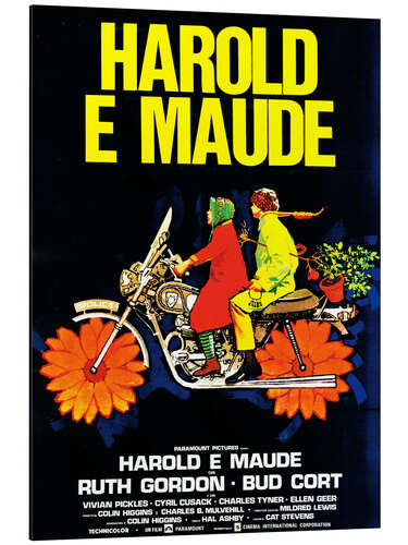 Alubild Harold und Maude (italienisch)