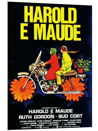 Print på skumplade Harold & Maude (italiensk)