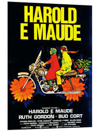 Foam board print Harold and Maude (Italian)