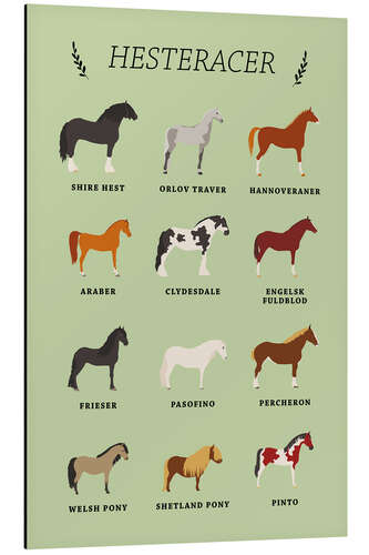 Aluminium print Horse breeds (Danish)