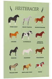 Foam board print Horse breeds (Danish)