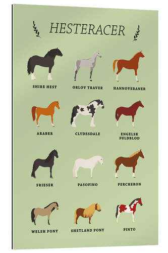 Gallery print Horse breeds (Danish)