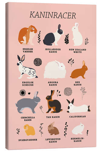 Canvas-taulu Rabbit breeds (Danish)