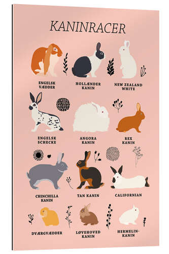 Gallery print Rabbit breeds (Danish)