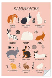 Wall sticker Rabbit breeds (Danish) - Kidz Collection