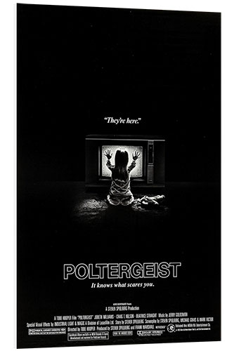 Cuadro de PVC Poltergeist (inglés)