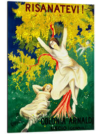 Magnettafel Colonia Arnaldi in Uscio (italienisch)