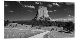 Foam board print Devils Tower, Wyoming