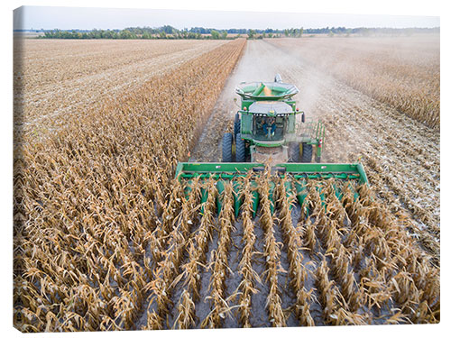 Lerretsbilde Harvester at harvest