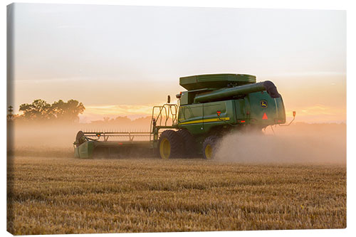 Lerretsbilde Combine harvesting wheat