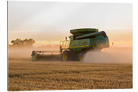 Gallery print Combine harvesting wheat