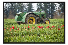 Gerahmter Kunstdruck Traktor auf einem Tulpenfeld