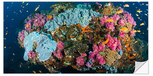 Selvklebende plakat Corals surrounded by sea gold