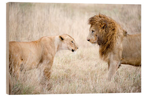 Tableau en bois Lion et lionne