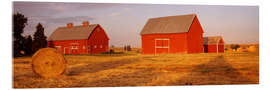 Acrylic print Red barns on a farm