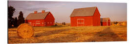 Aluminiumtavla Red barns on a farm